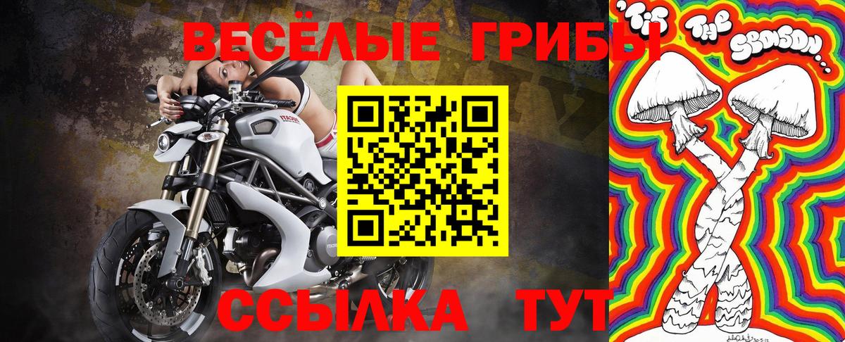 Галлюциногенные грибы мицелий Апшеронск